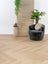 Asenta Serre Visgraat Natural Oak Plak PVC