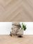 Asenta Serre Visgraat Sandy Oak Plak PVC