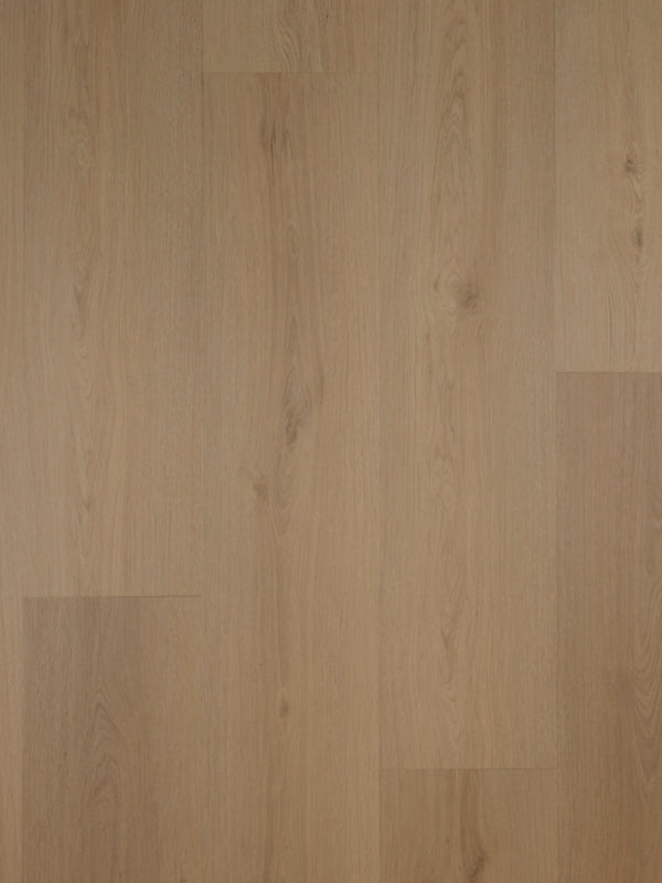 Asenta Vide Natural Oak PVC