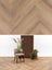Asenta Serre Visgraat Warm Oak Plak PVC