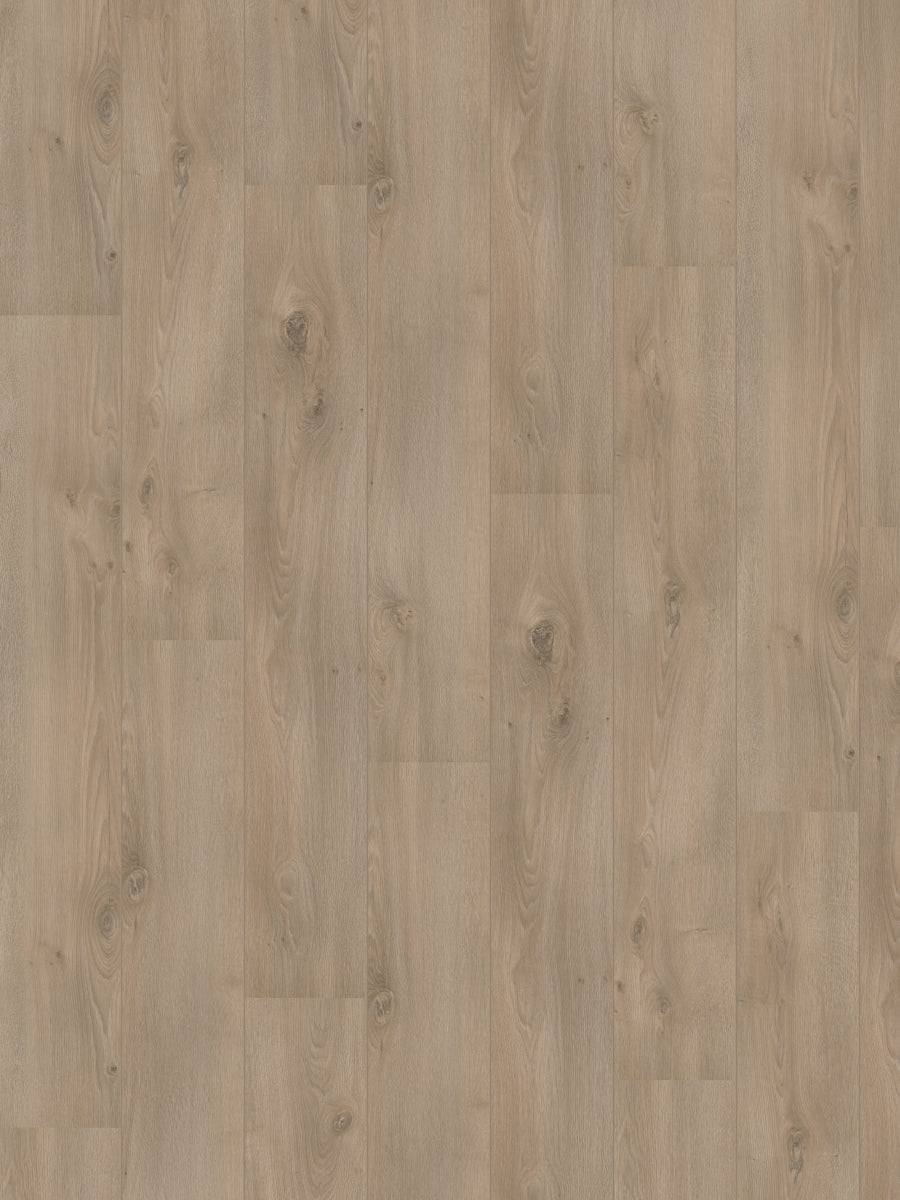 Hoomline Rechte Plank Royal V2 Campania 521067 Laminaat