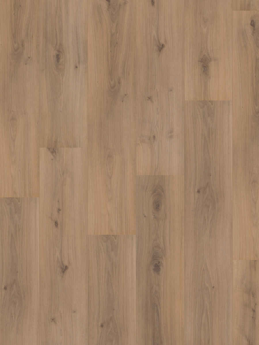 Hoomline Rechte Plank Royal XL V2 Aquaprotect Jungfrau 4936 Laminaat