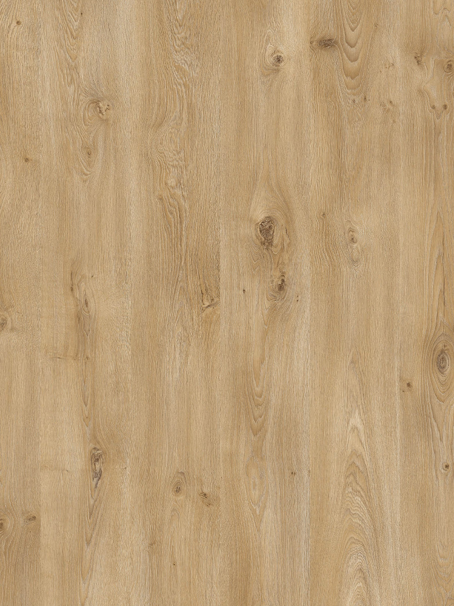 Hoomline Rechte Plank Royal XL V2 Aquaprotect Drakensberg 8284 Laminaat
