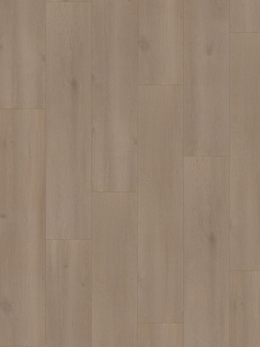 Hoomline Rechte Plank Elite XL V4 Spaarne 6081 Laminaat