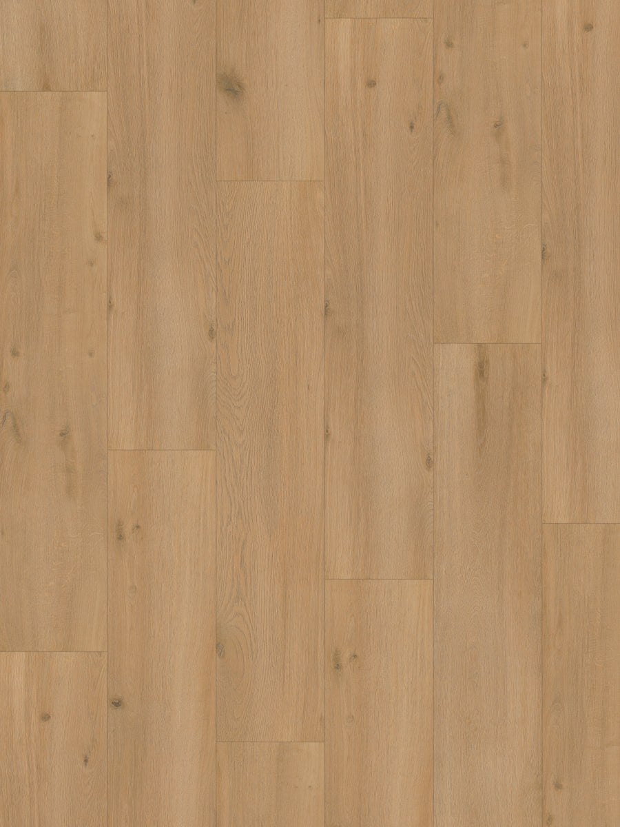 Hoomline Rechte Plank Elite XL V4 Vecht 6080 Laminaat