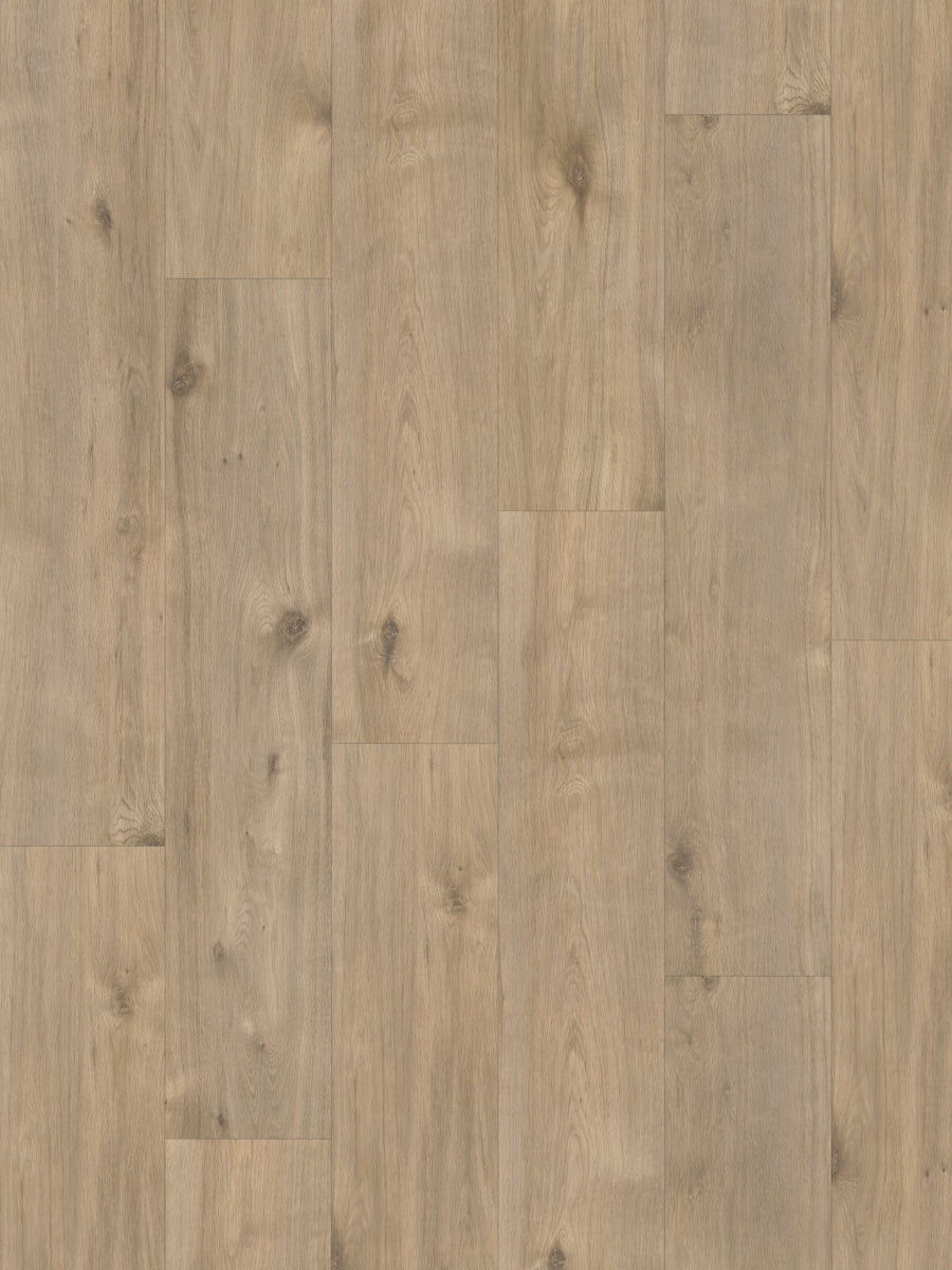 Hoomline Rechte Plank Elite XL V4 Maas 60969 Laminaat
