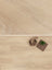Floer Rechte Plank Natuur Noordwijk Natuur Plak PVC
