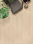 Floer Rechte Plank Natuur Lisse Lichtbruin Plak PVC