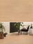 Floer Rechte Plank Landhuis Lichtbruine Eik Hybride Laminaat