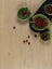 Douwes Dekker Riante Plank Panna Cotta Klik PVC