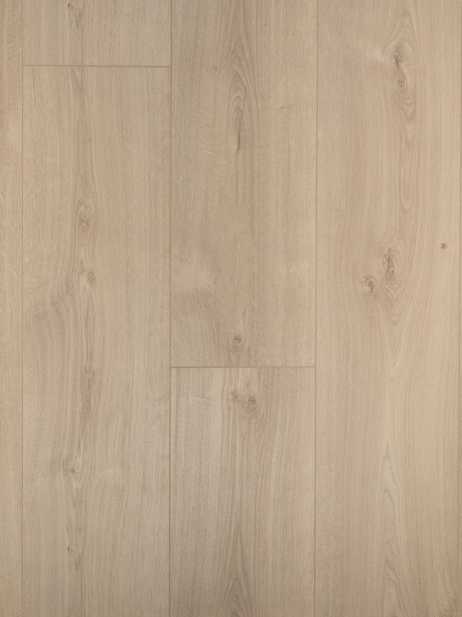 Douwes Dekker Rechte Plank Plank Jasmijn Extra Lange Laminaat