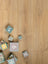 Douwes Dekker Rechte Plank Plank Basilicum Extra Lange Laminaat