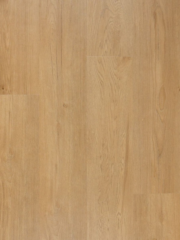 Otium Hammam PVC